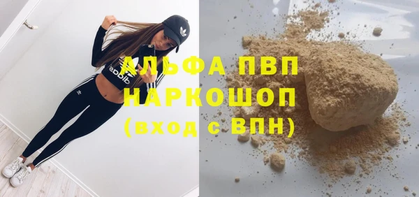 амф Верея