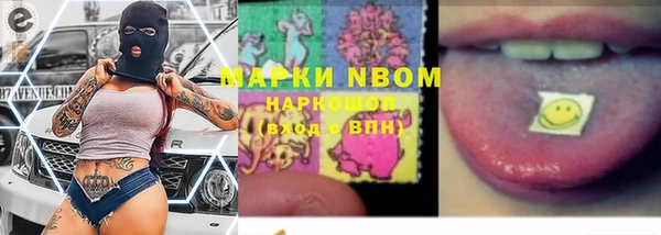 амф Верея