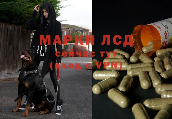 марки lsd Пересвет