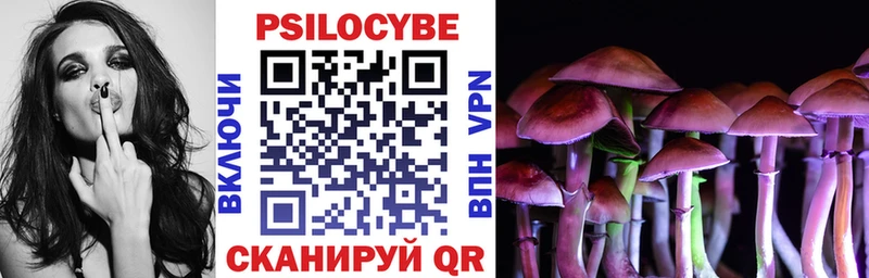 Псилоцибиновые грибы Magic Shrooms  где купить наркоту  мориарти какой сайт  Сланцы 